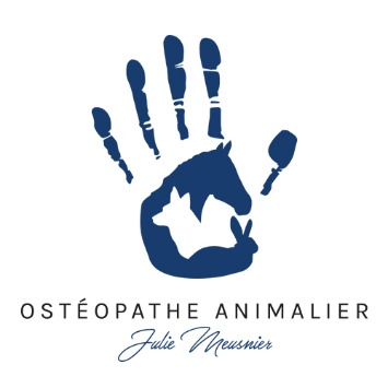 Julie Ostéopathe Animalier - Eve - Graphiste Webdesigner Infographiste Marseille
